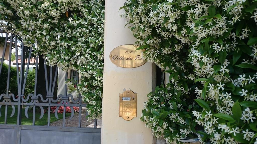 B&B Villa Dei Pini Domegliara ภายนอก รูปภาพ