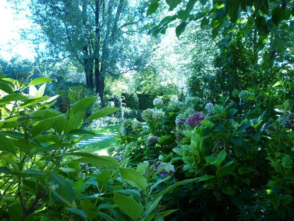 B&B Villa Dei Pini Domegliara ภายนอก รูปภาพ