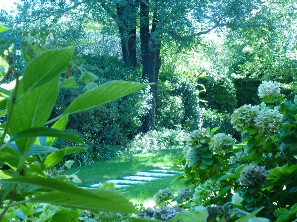 B&B Villa Dei Pini Domegliara ภายนอก รูปภาพ